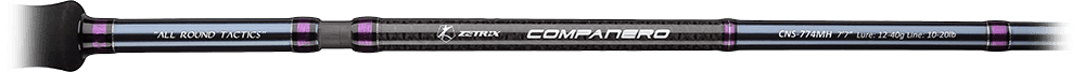 Zetrix Companero