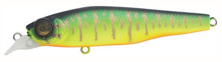 Adusta Twitch Shiner Jumper 90F 004 Hot Tiger